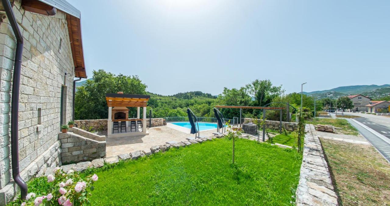 Rosa Vila Ravno